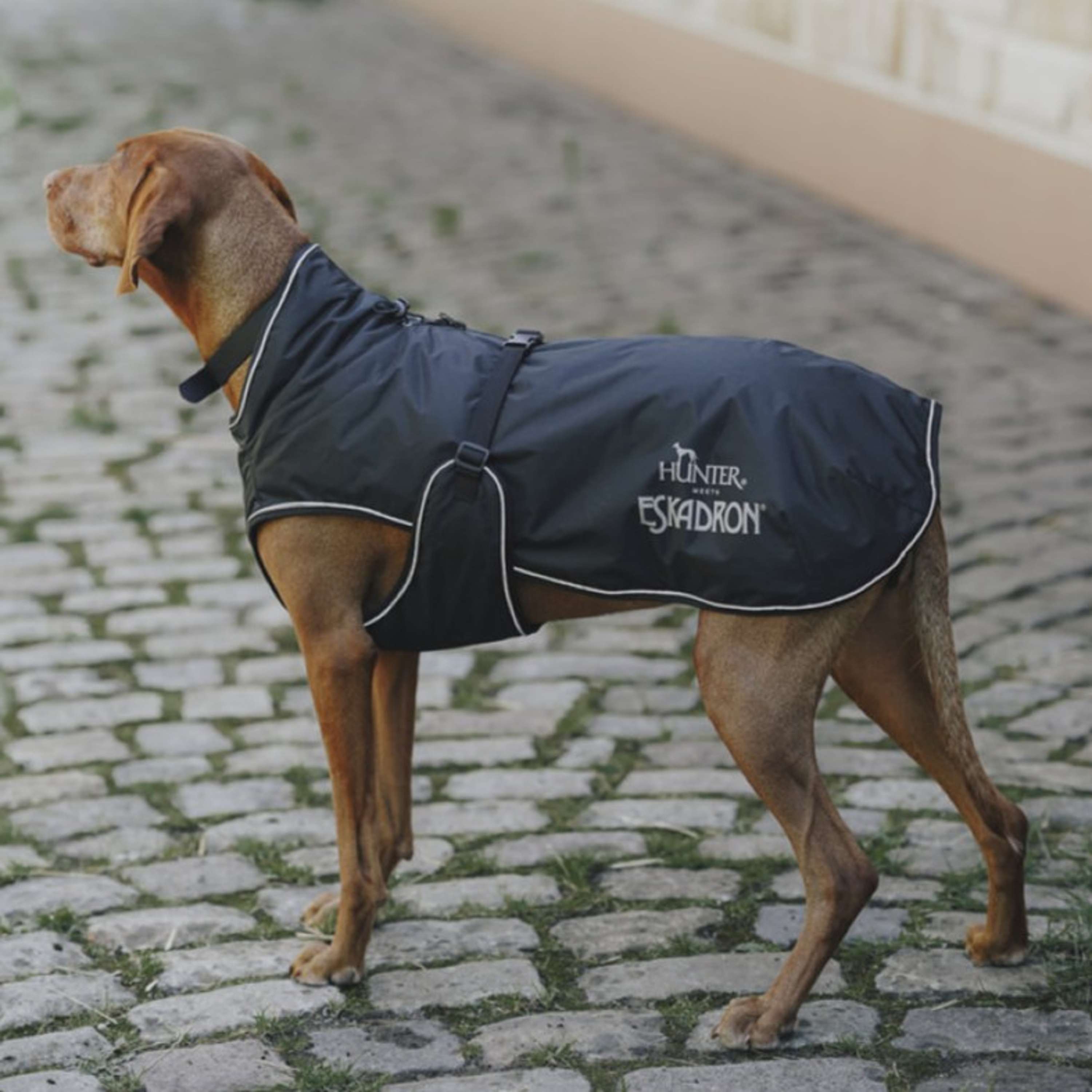Hunter x Eskadron Hunde Wintermantel Vario Schwarz