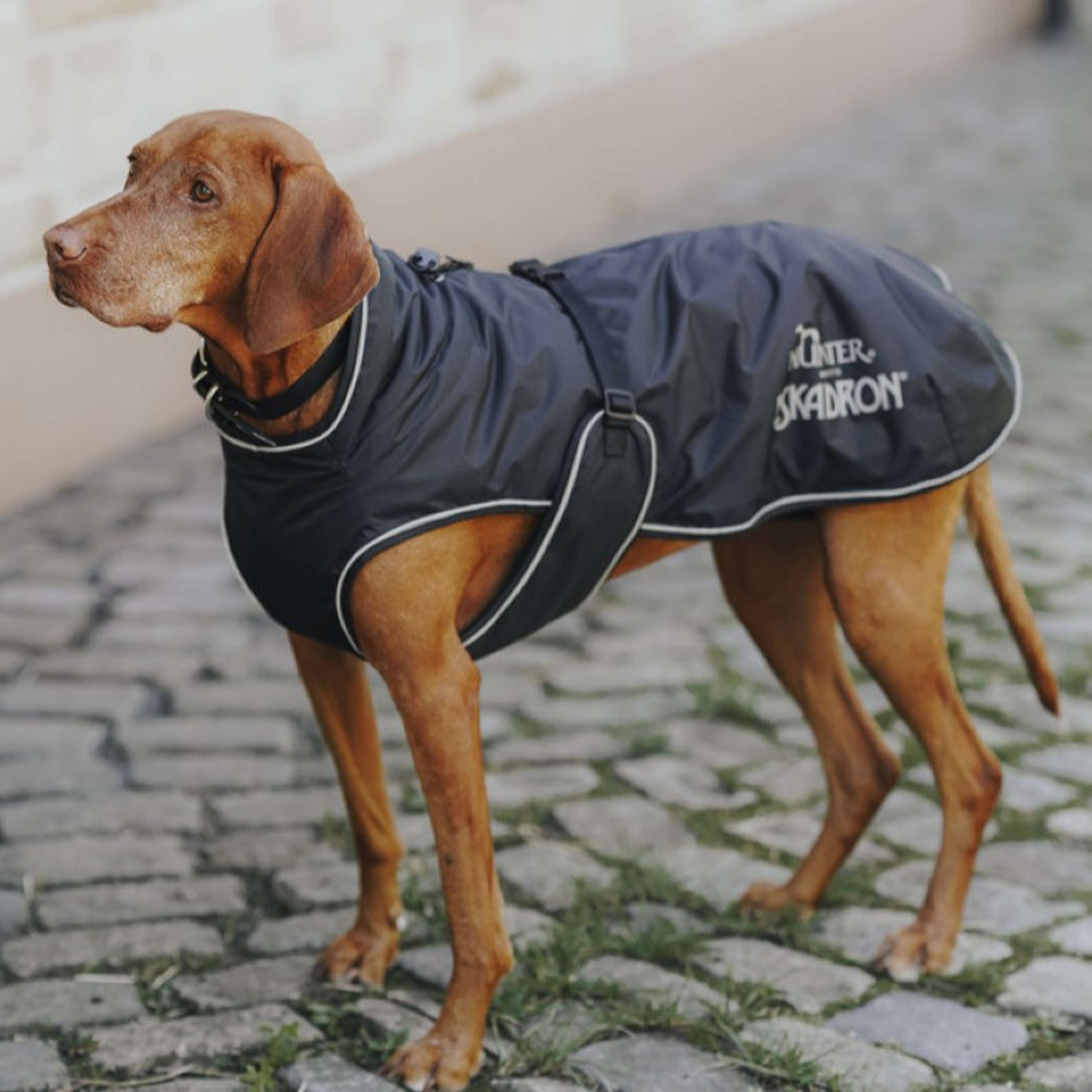 Hunter x Eskadron Hunde Wintermantel Vario Schwarz