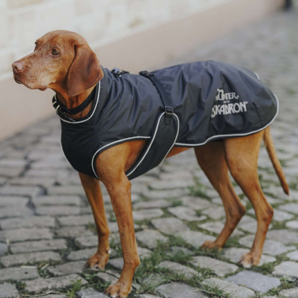 Hunter x Eskadron Hunde Wintermantel Vario Schwarz