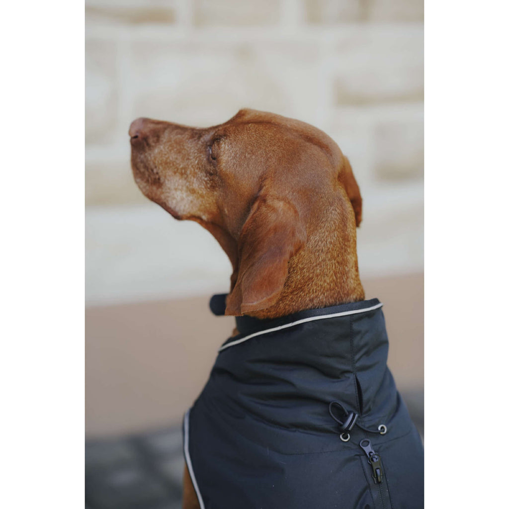 Hunter x Eskadron Hunde Wintermantel Vario Schwarz