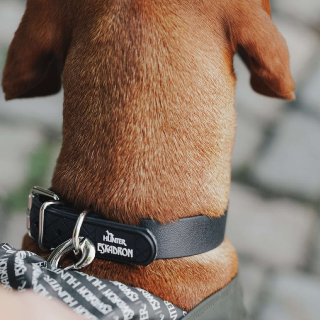 Hunter x Eskadron Hundehalsband Spark Schwarz