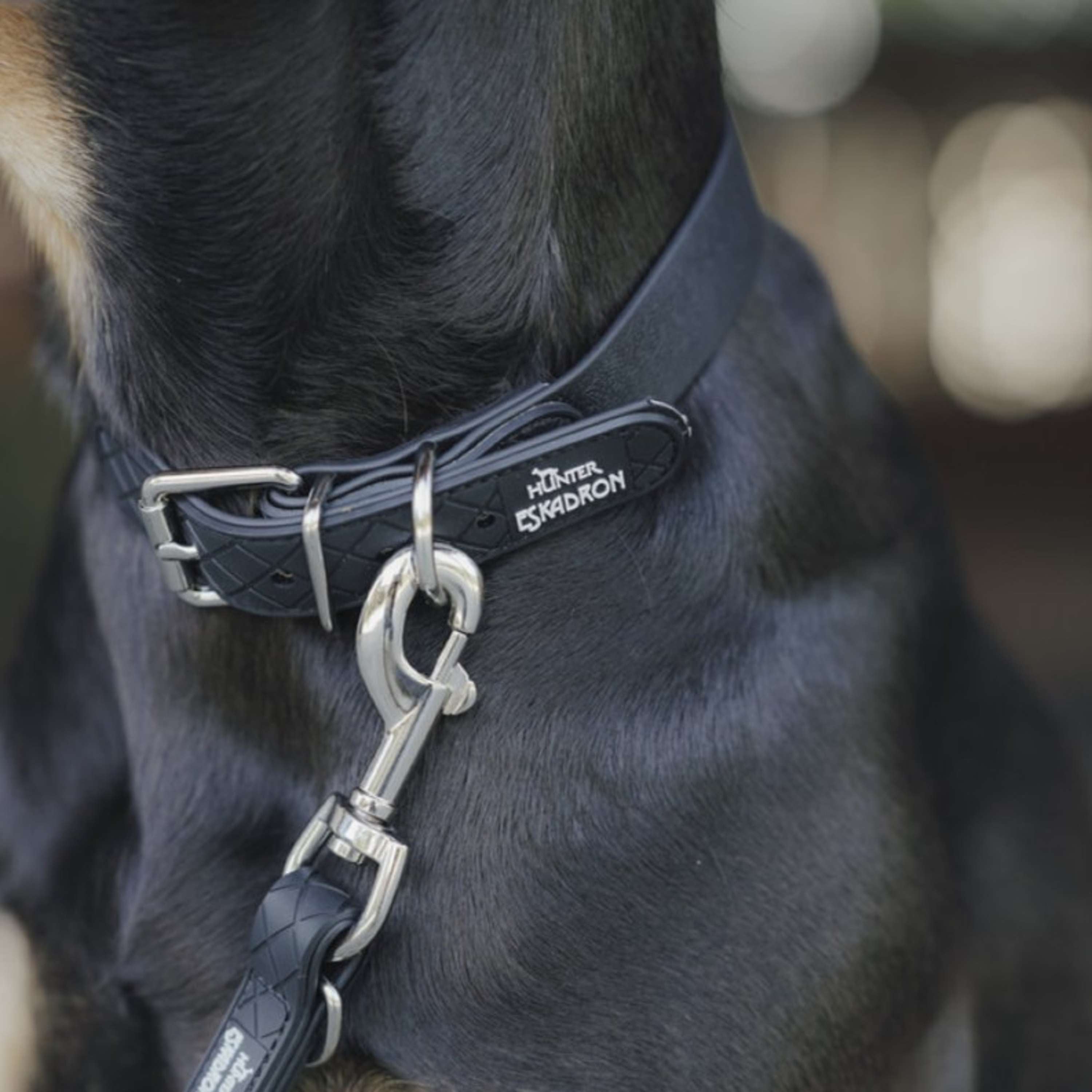 Hunter x Eskadron Hundehalsband Spark Schwarz