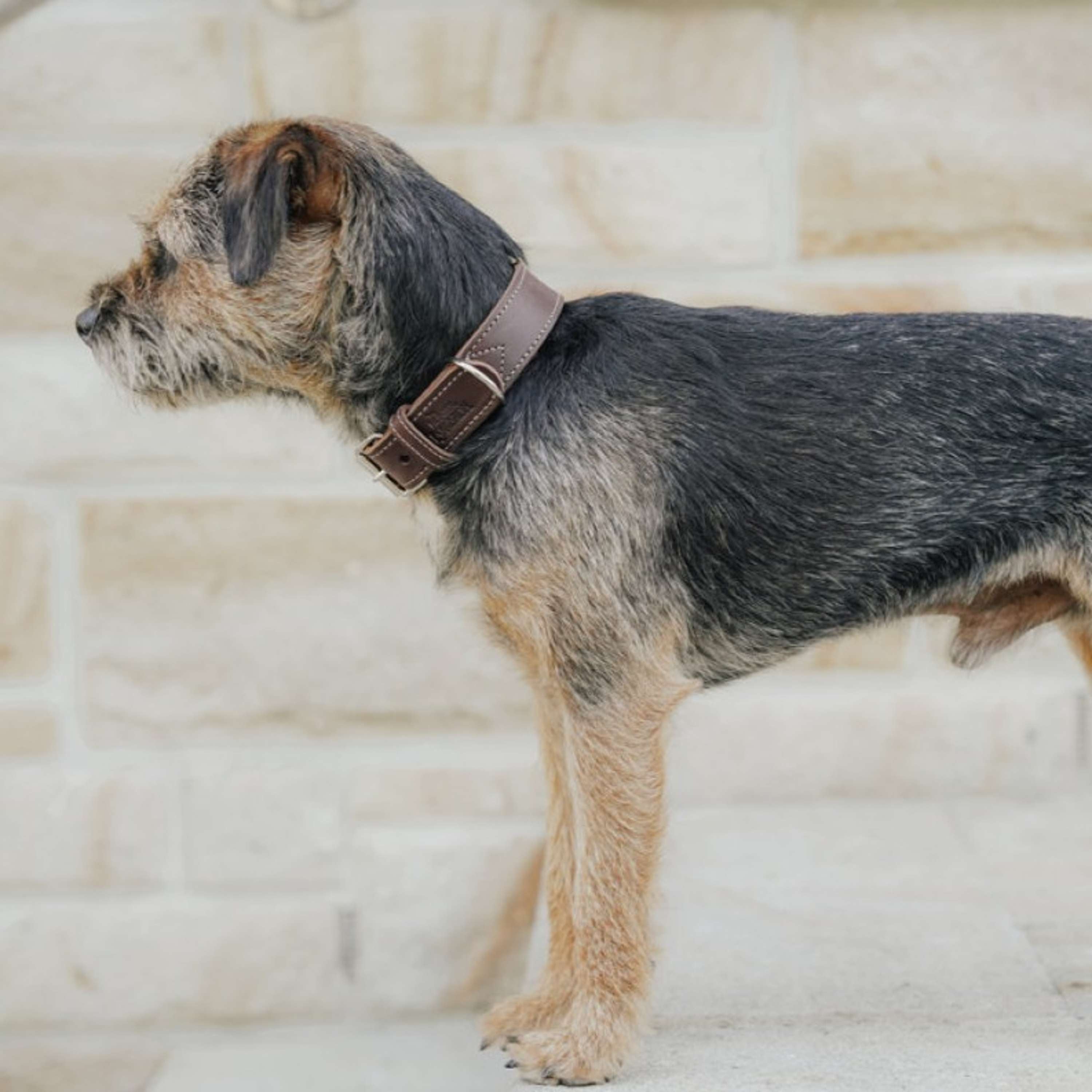 Hunter x Eskadron Hundehalsband Craft Dunkelbraun