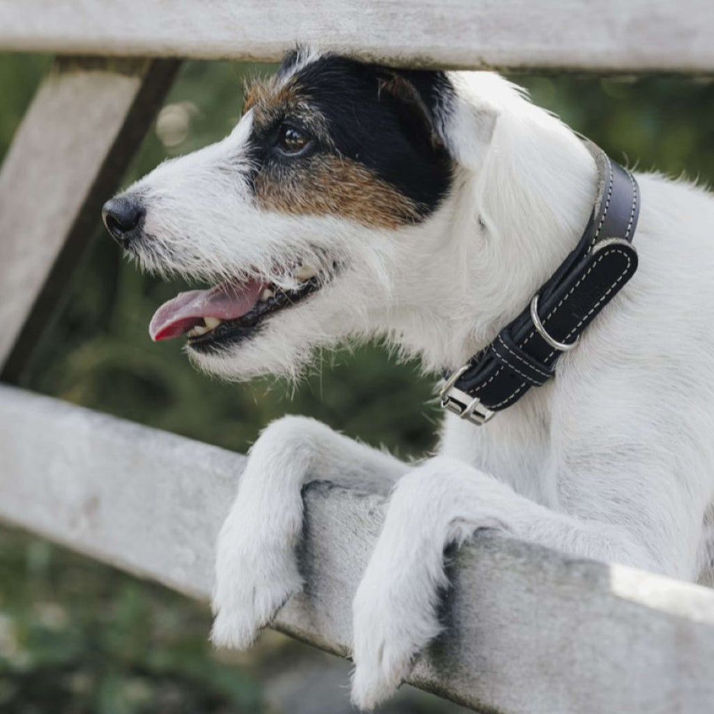Hunter x Eskadron Hundehalsband Craft Schwarz