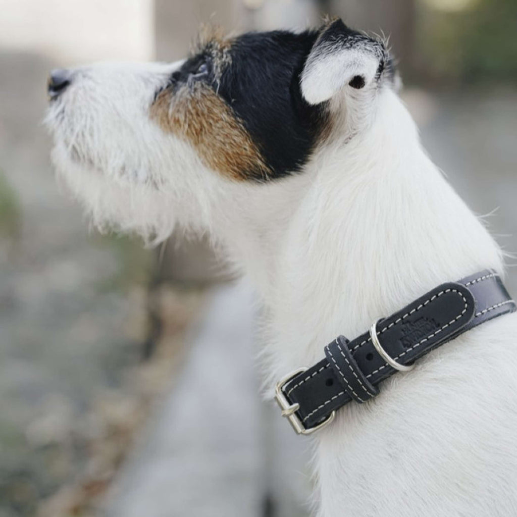 Hunter x Eskadron Hundehalsband Craft Schwarz