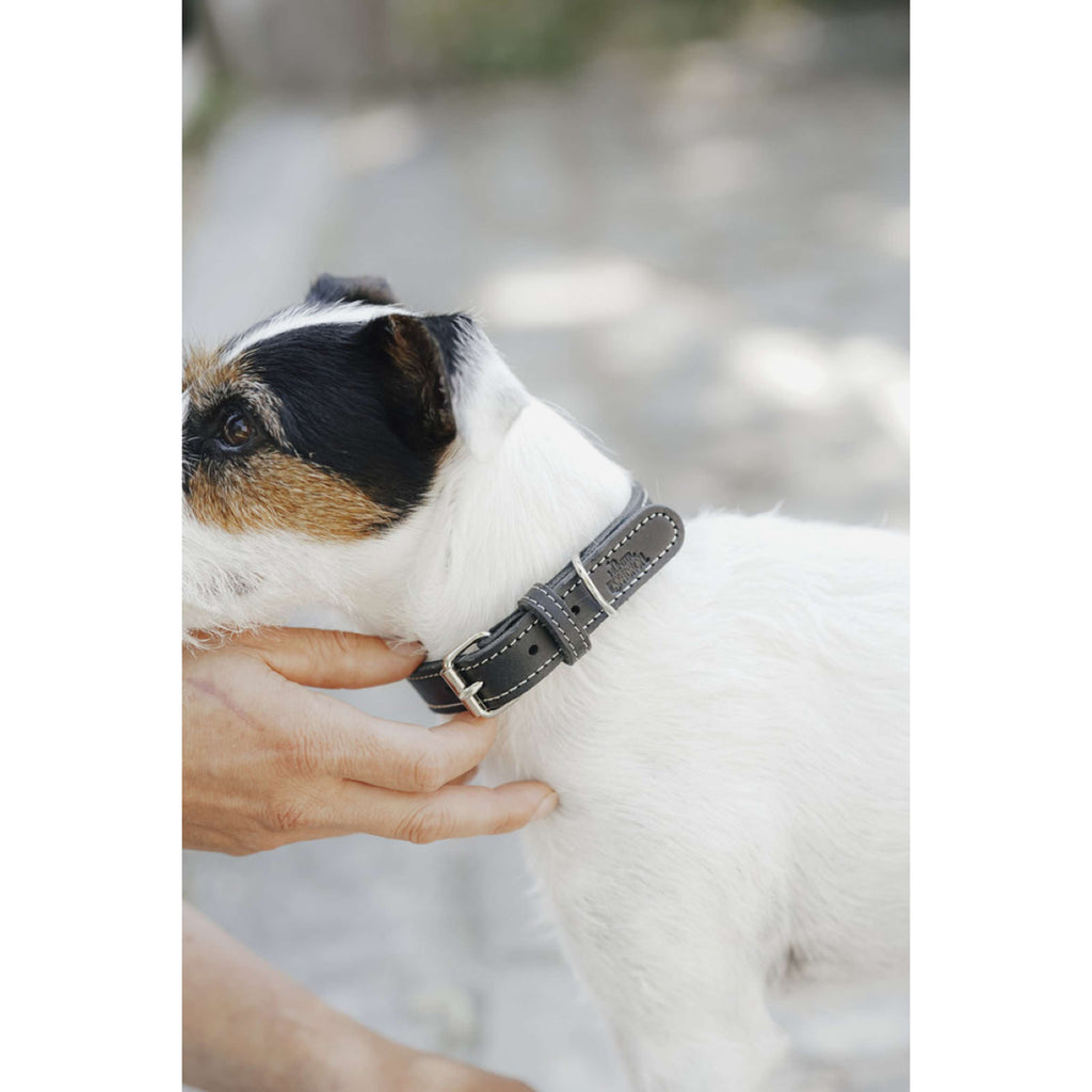 Hunter x Eskadron Hundehalsband Craft Schwarz