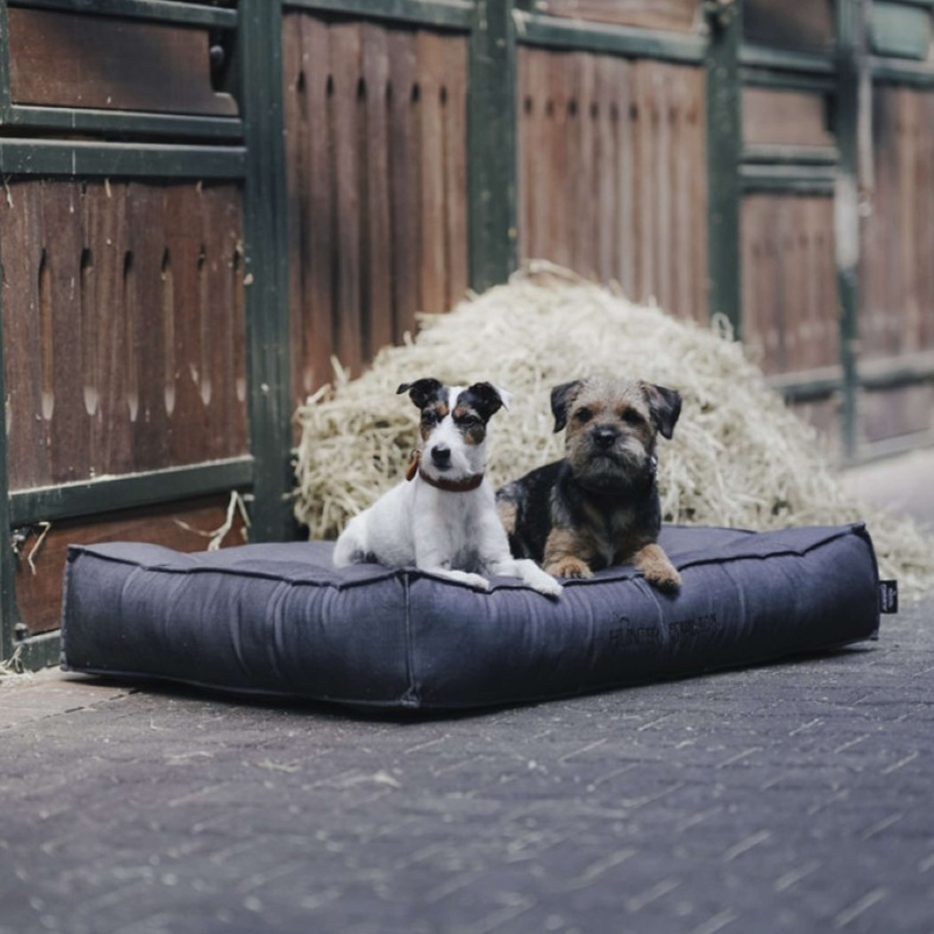 Hunter x Eskadron Hundebett Chester Anthrazit kariert