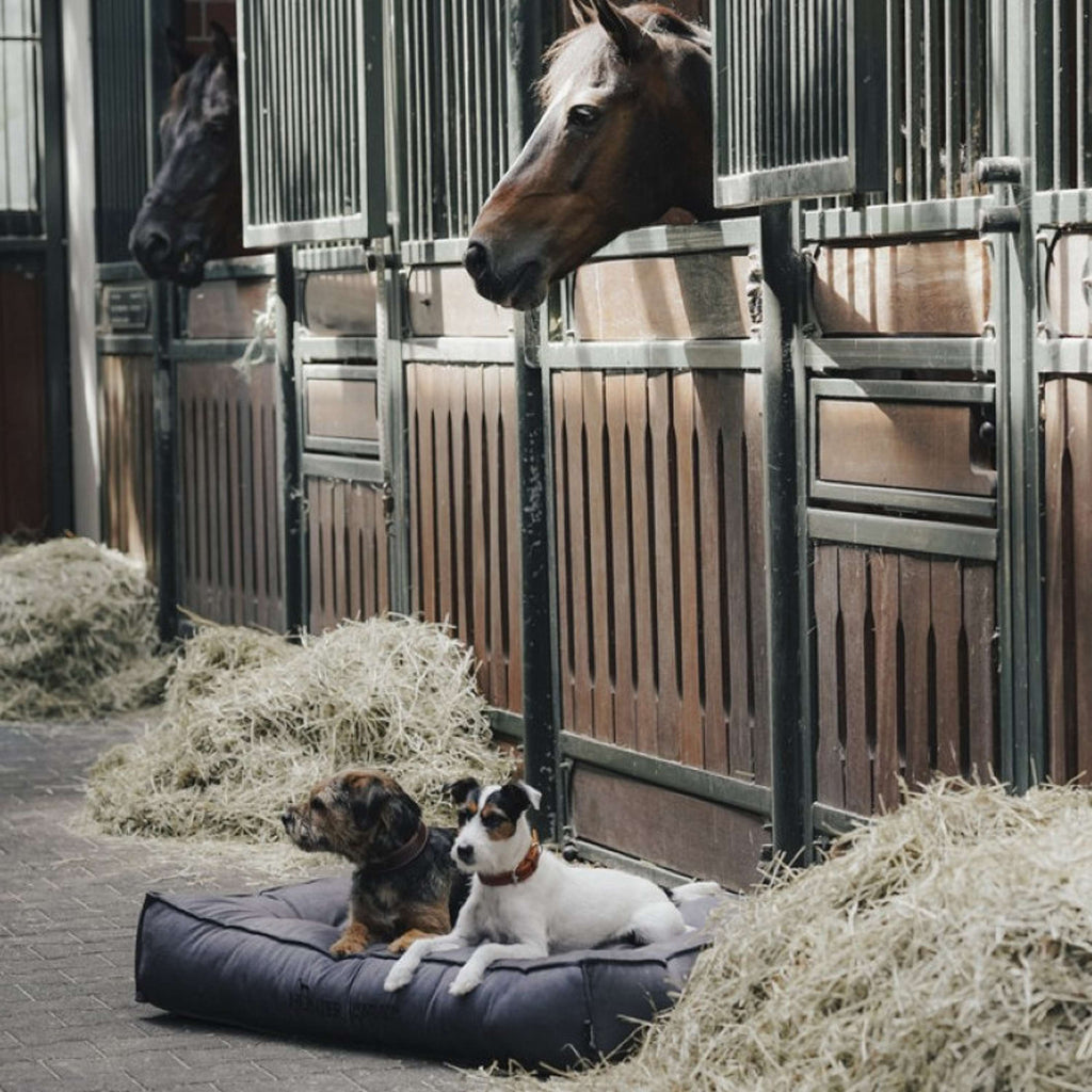 Hunter x Eskadron Hundebett Chester Anthrazit kariert
