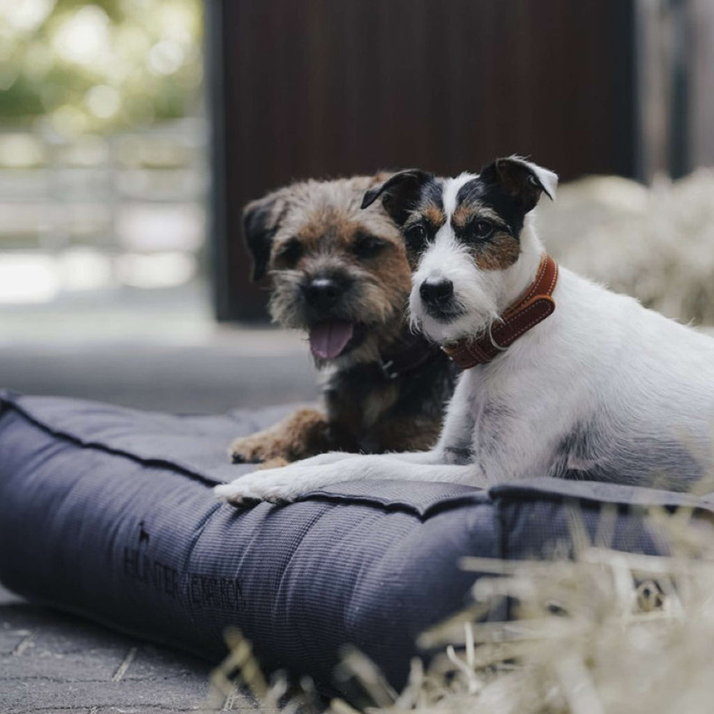 Hunter x Eskadron Hundebett Chester Anthrazit kariert