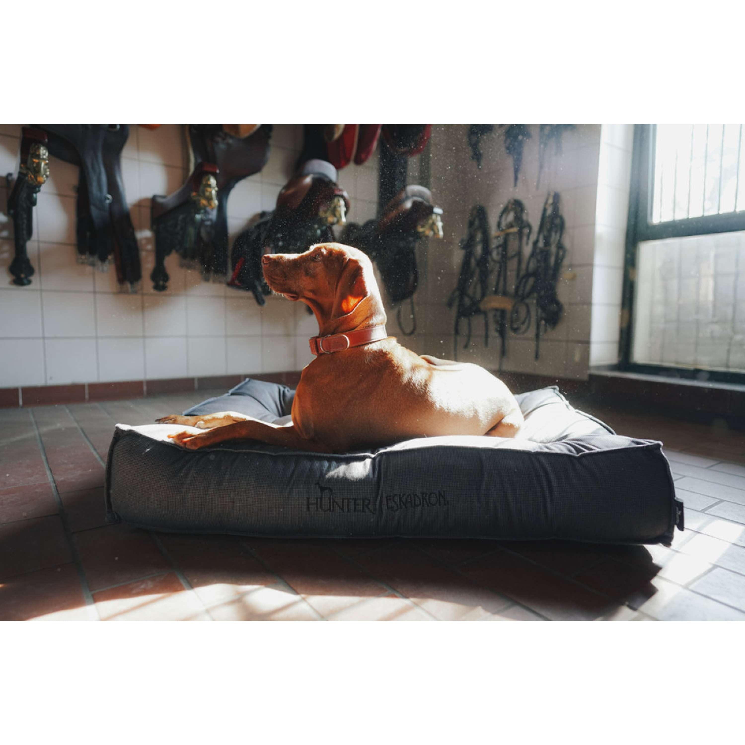Hunter x Eskadron Hundebett Chester Anthrazit kariert