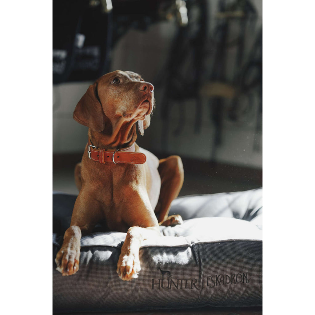 Hunter x Eskadron Hundebett Chester Anthrazit kariert