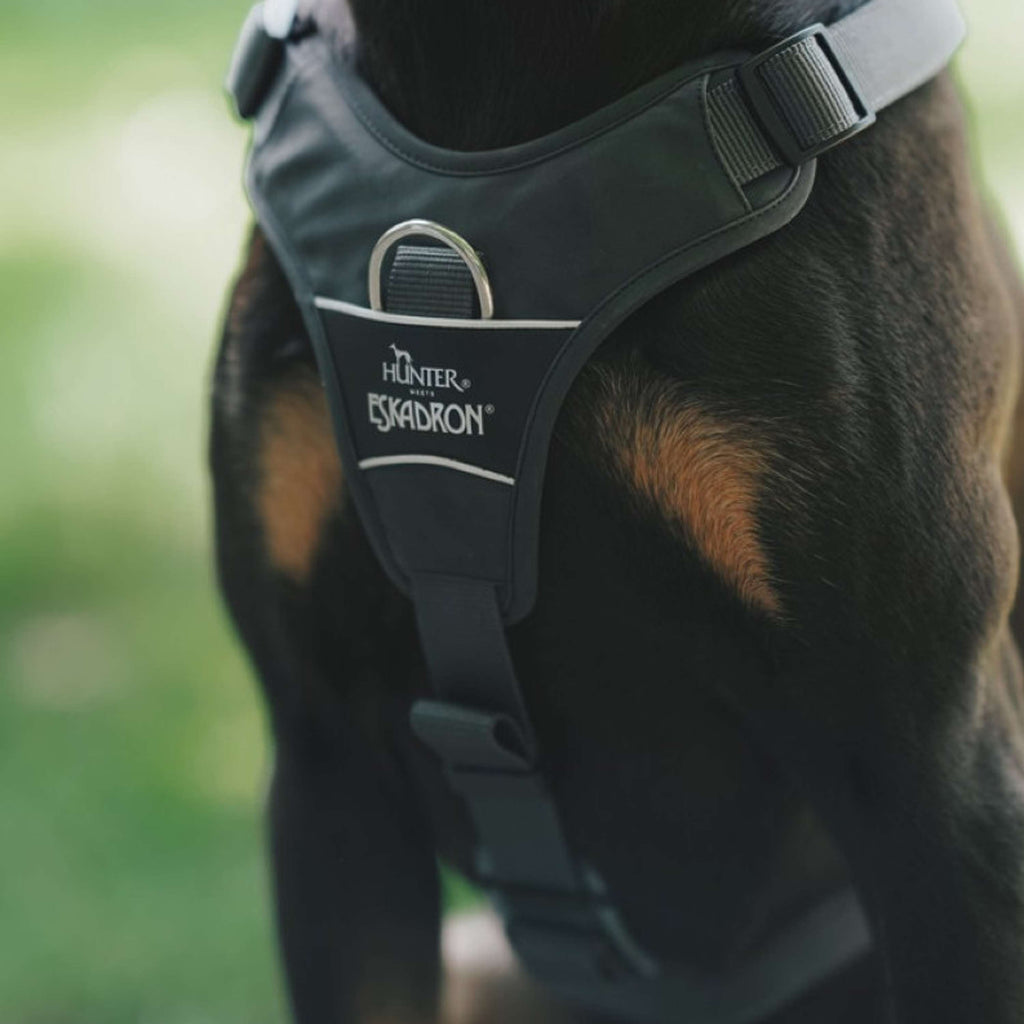Hunter x Eskadron Hundegeschirr Motion Reflect Anthrazit