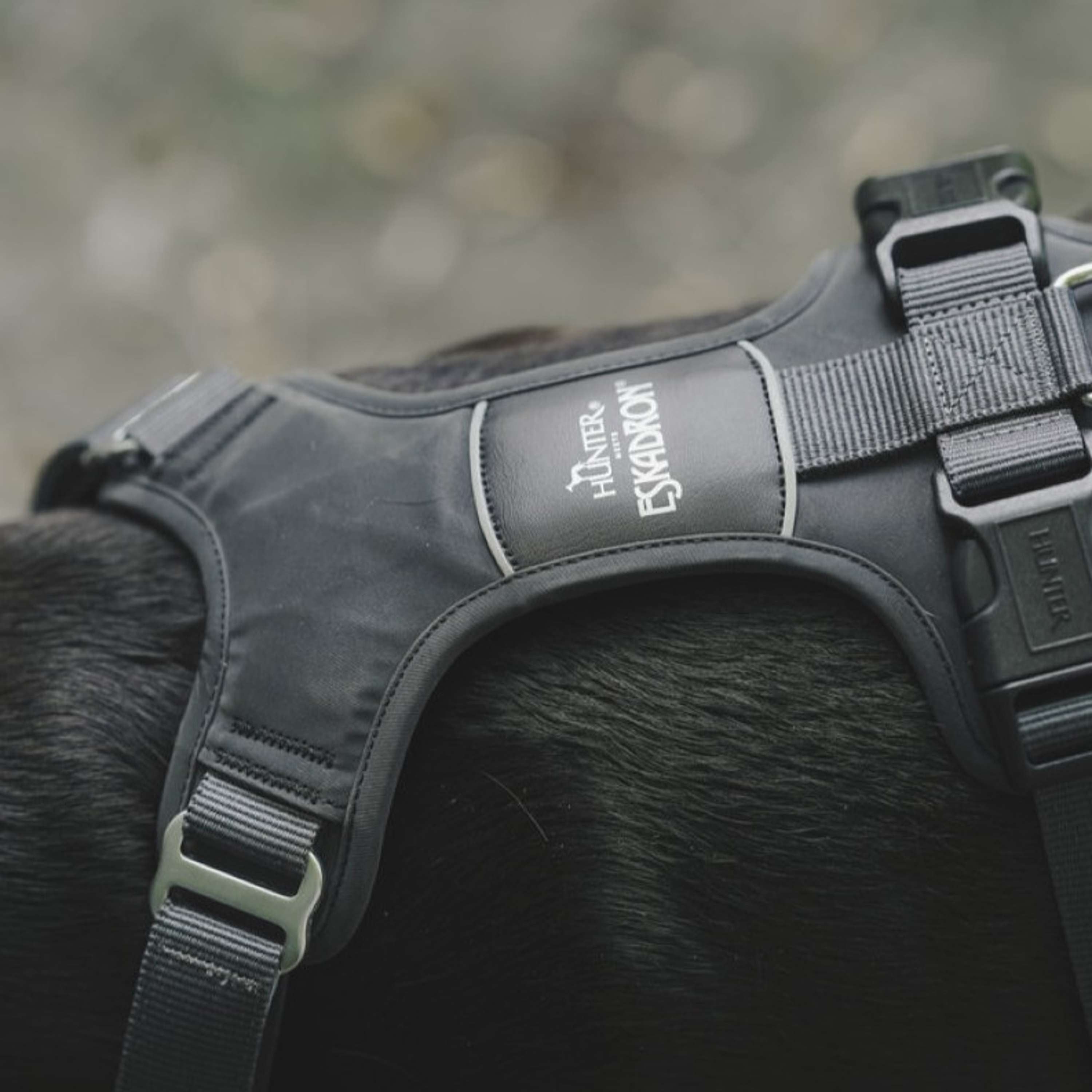 Hunter x Eskadron Hundegeschirr Motion Reflect Anthrazit
