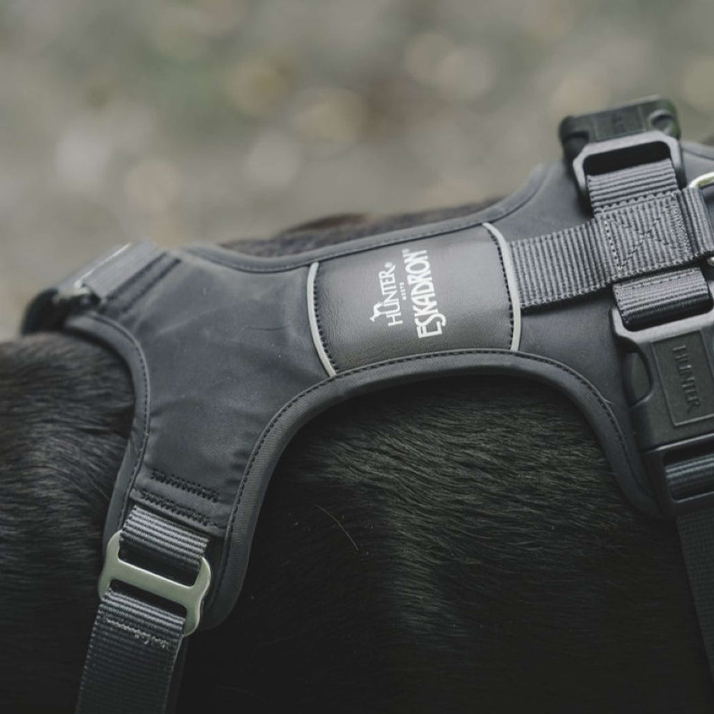 Hunter x Eskadron Hundegeschirr Motion Reflect Anthrazit