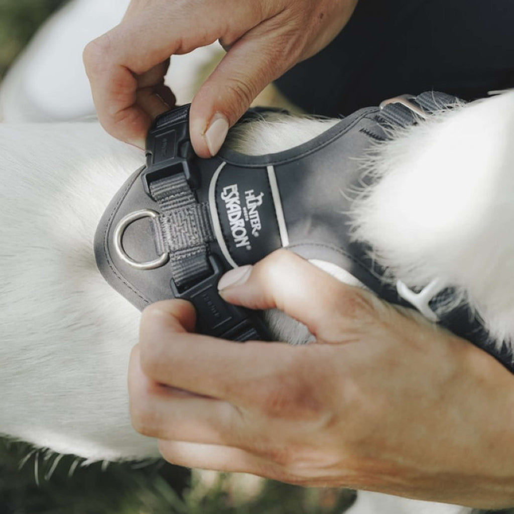 Hunter x Eskadron Hundegeschirr Motion Reflect Anthrazit