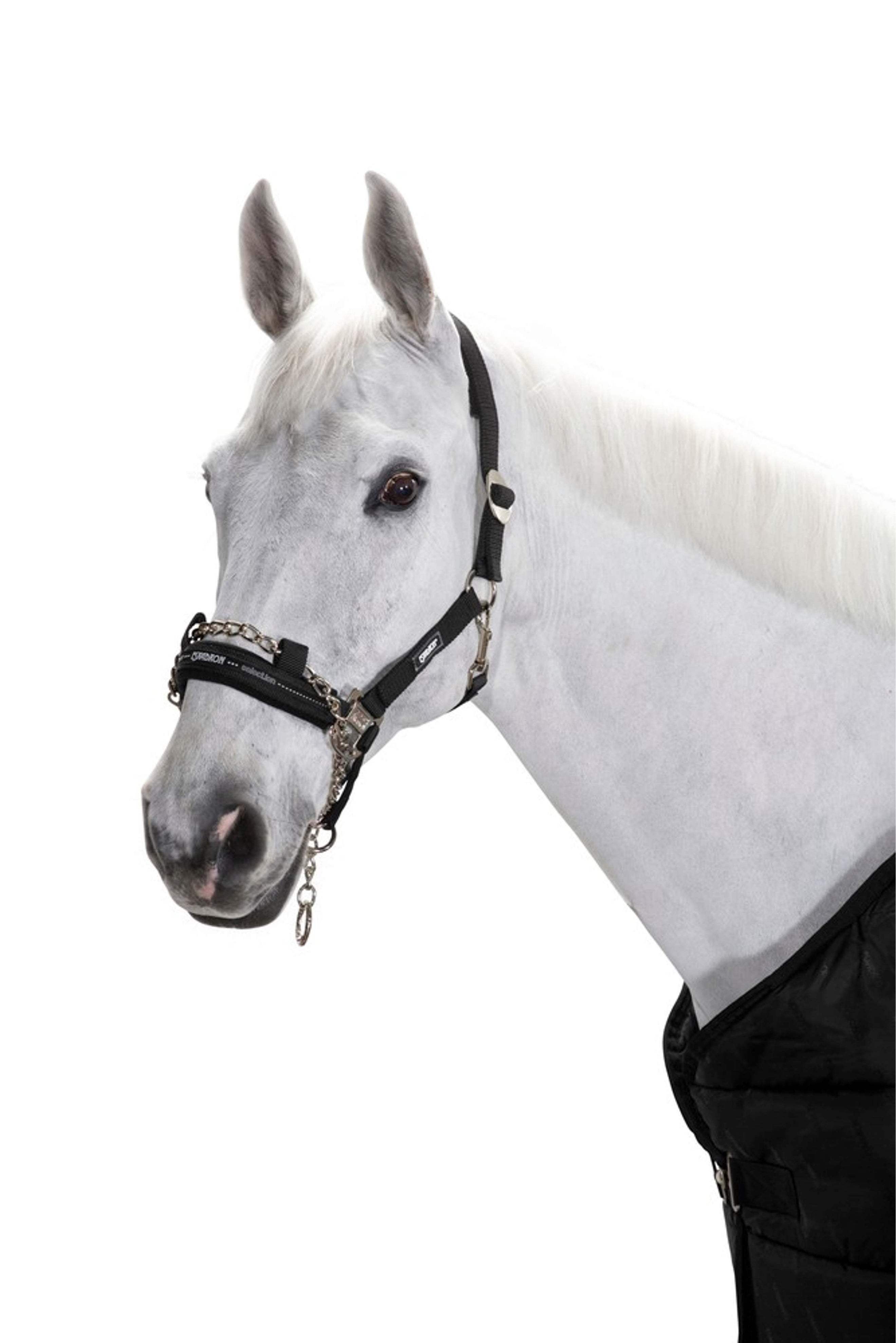 Eskadron Halfter Control Pin Buckle Schwarz Eskadron Halfter Control Pin Buckle Schwarz