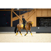 Eskadron Fliegenhaube Pearls Platinum '25 Golden Yellow