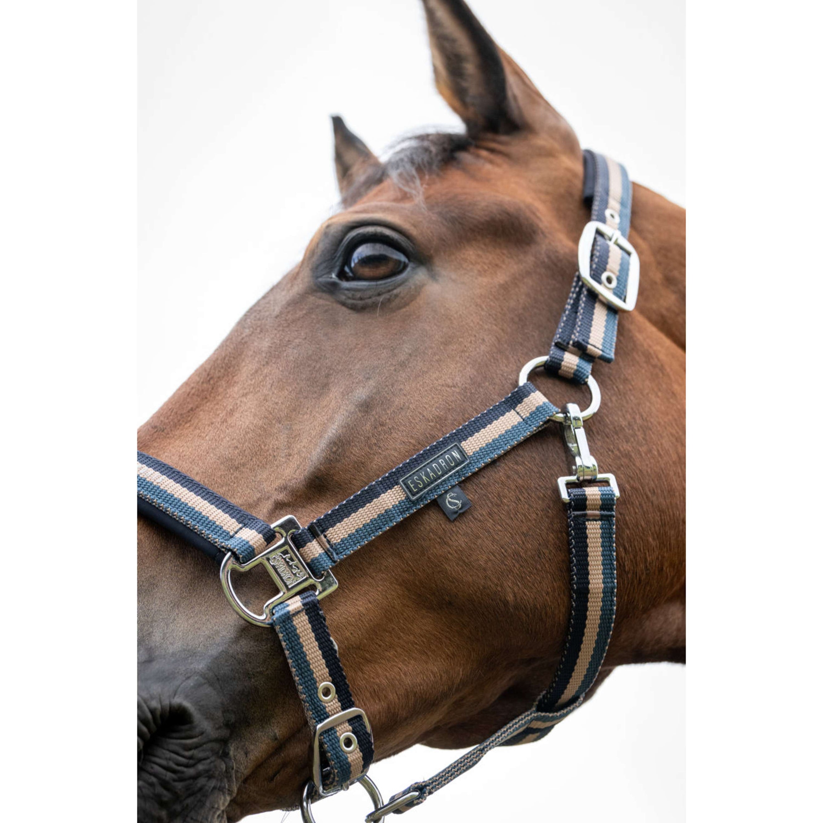 Eskadron Halfter Classic Sports Double Pin Ocean/Sierra/Navy Eskadron Halfter Classic Sports Double Pin Ocean/Sierra/Navy