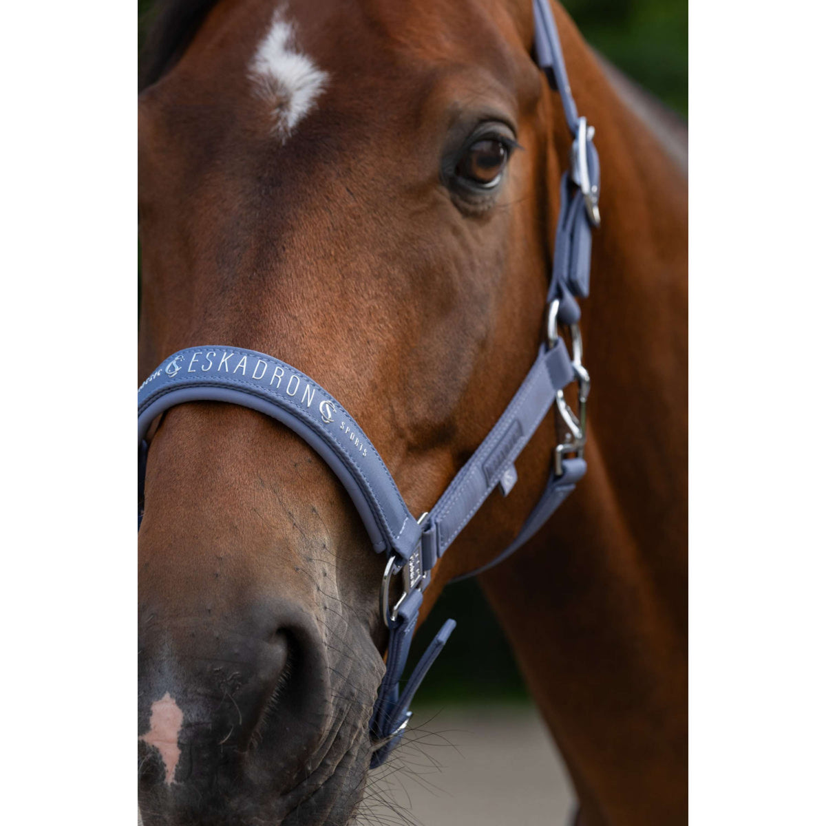 Eskadron Halfter Classic Sports Sparkle Orchid