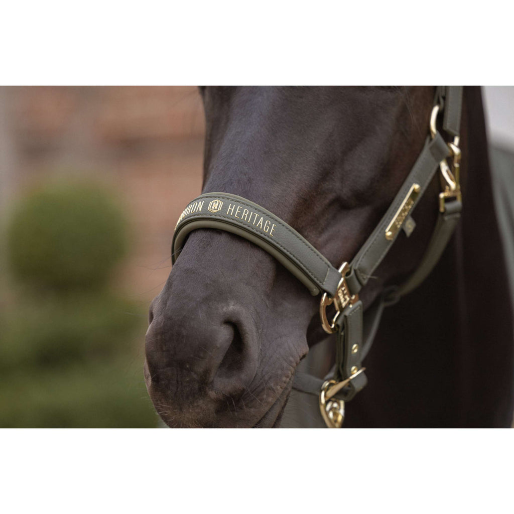 Eskadron Halfter Heritage Faux Leather Double Pin Deep Moss