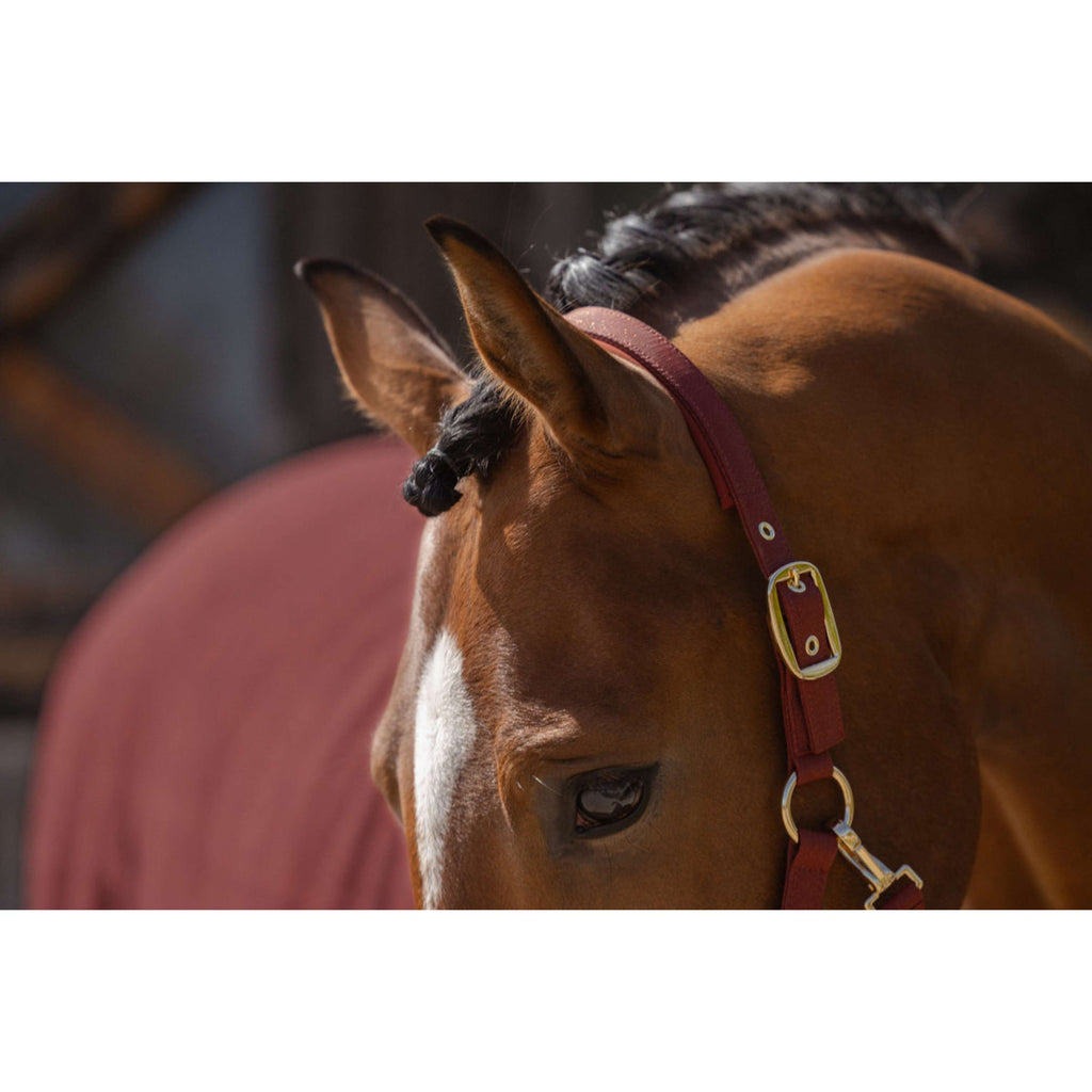 Eskadron Halfter Heritage Faux Leather Double Pin Merlot