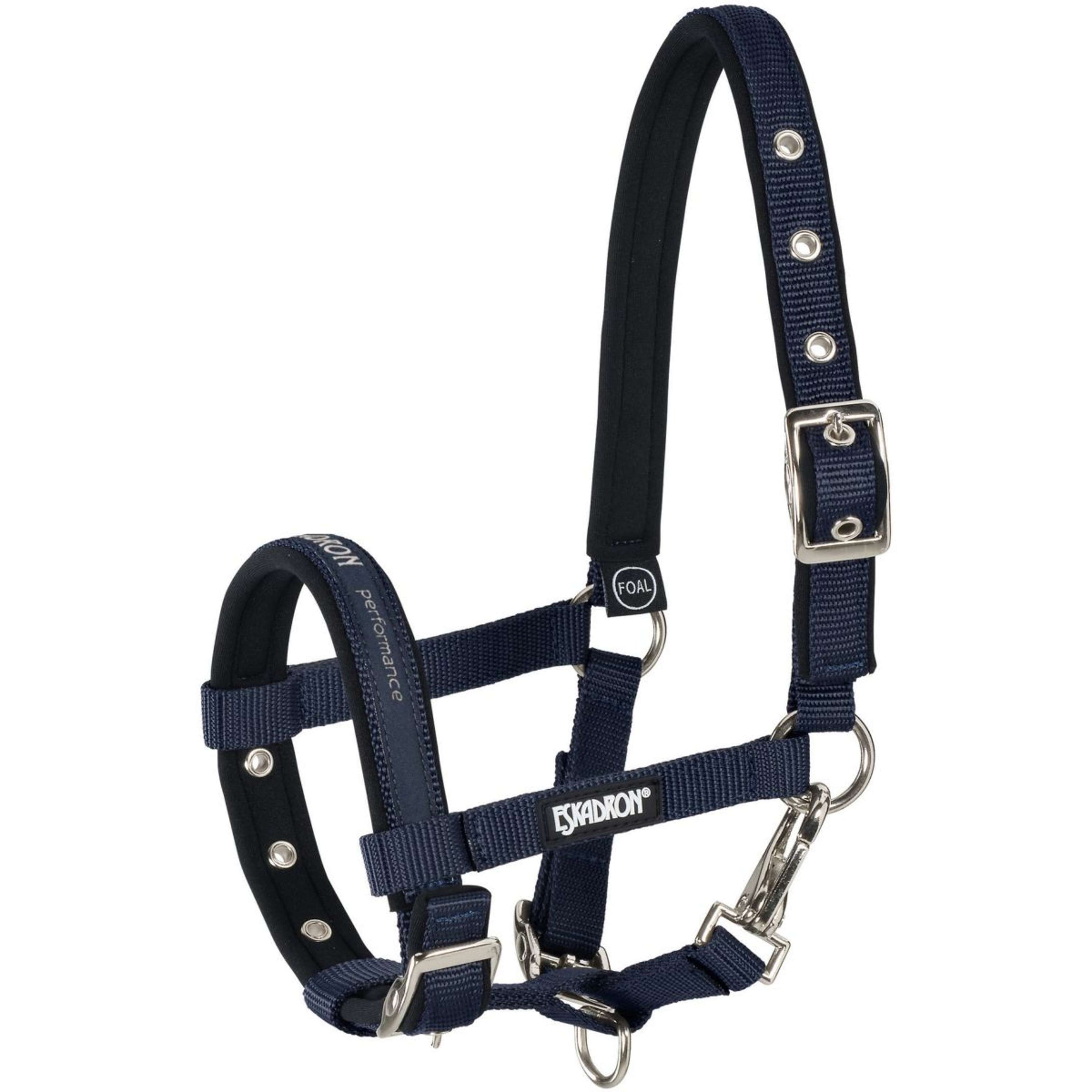 Eskadron Fohlenhalfter New Nightblue