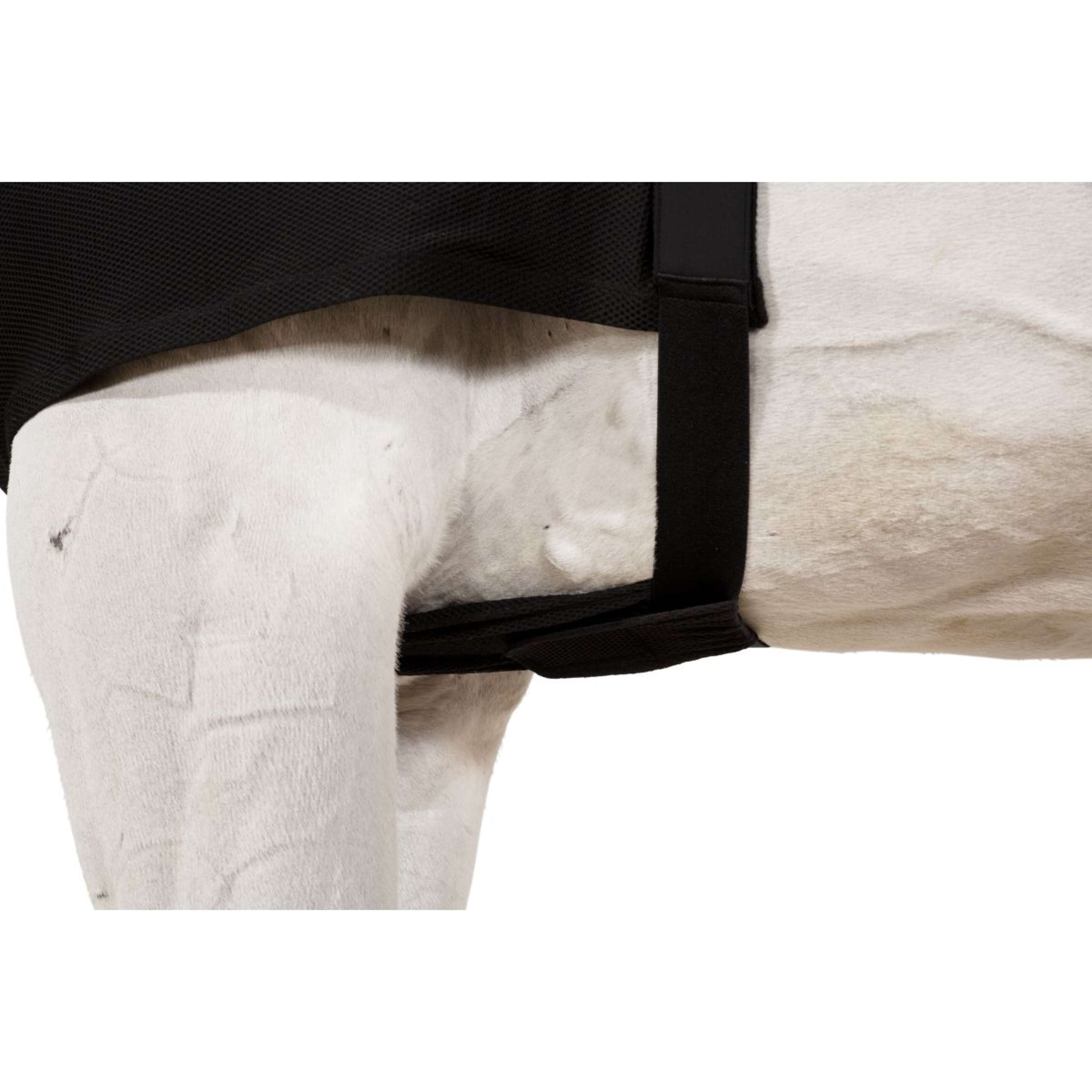 Eskadron Brustschutz DynAirMesh Schwarz