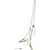 F.R.A. Knotenhalfter Lazy Beige