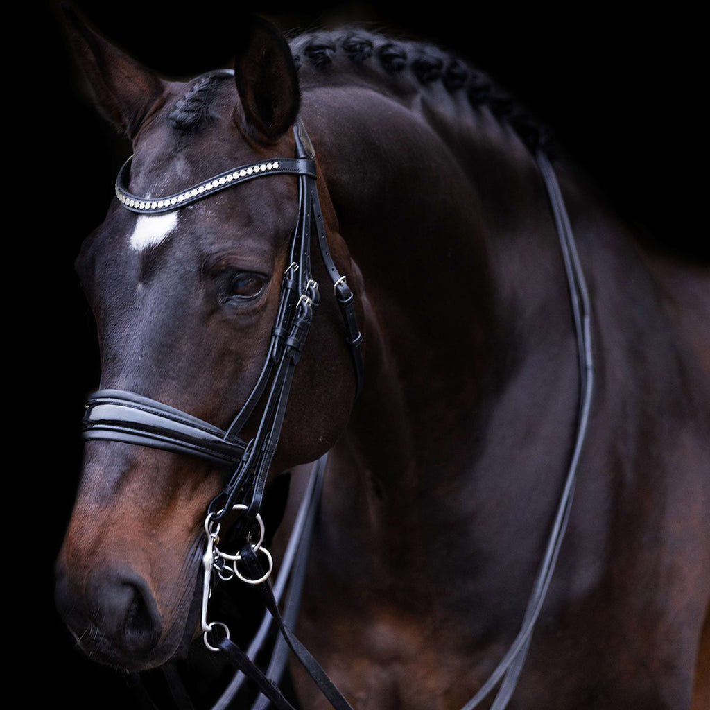 Imperial Riding Kandarenzaum IRHFria Schwarz