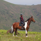 Aubrion by Shires Weste Original Fleece Maroon