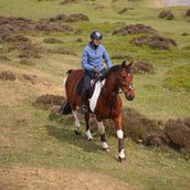 Aubrion by Shires Pullover Original Fleece Blau