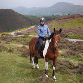 Aubrion by Shires Pullover Original Fleece Blau