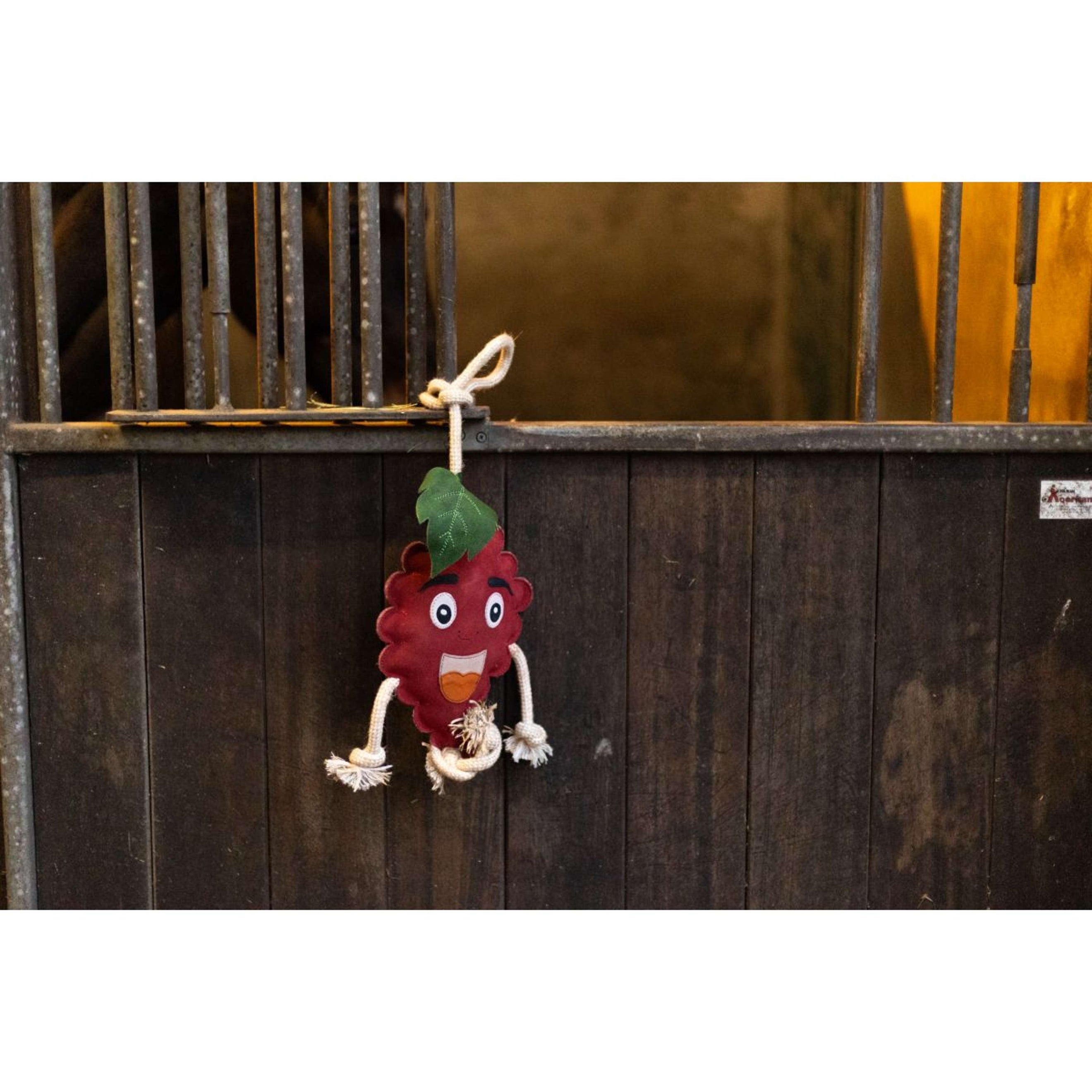 Excellent Horse Foodie Friends Himbeerrot