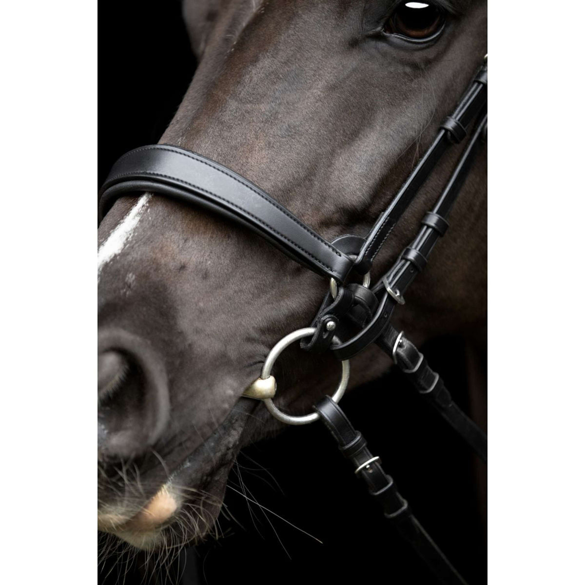 Catago Reithalfter Gentle Schwarz