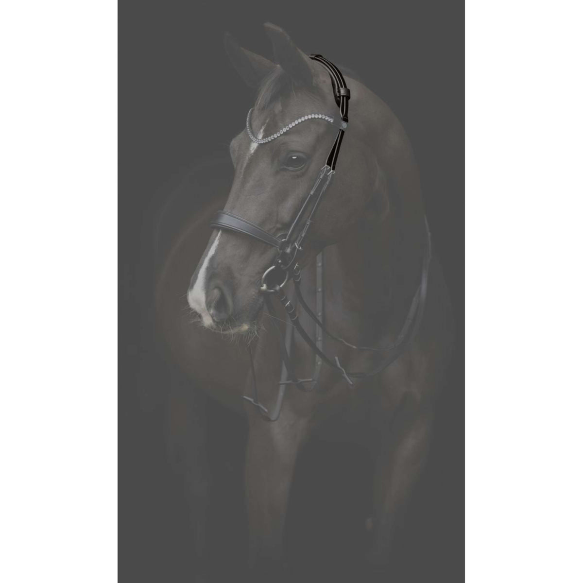 Catago Kopfstück Gentle Braun