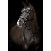 Catago Reithalfter Gentle Schwarz