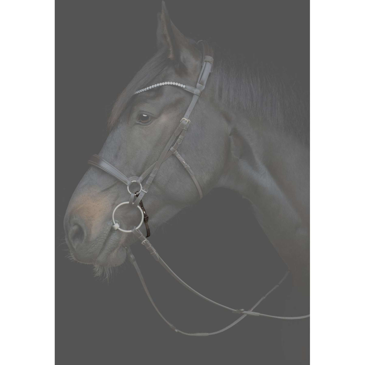 Catago Kinnriemen Gentle Schwarz