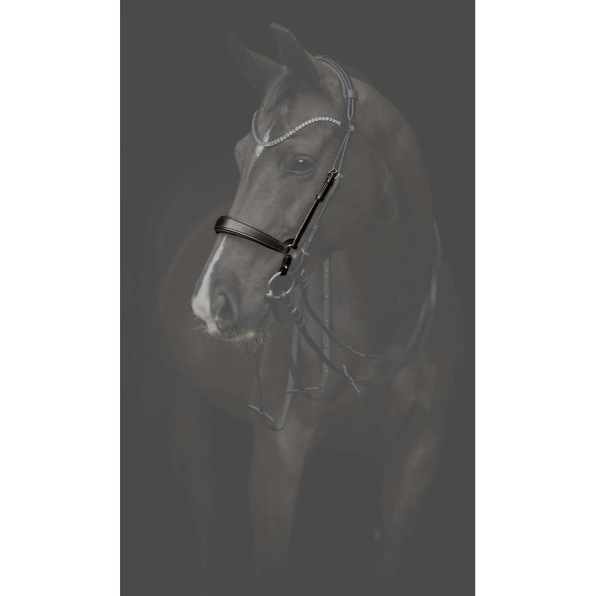 Catago Reithalfter Gentle Schwarz