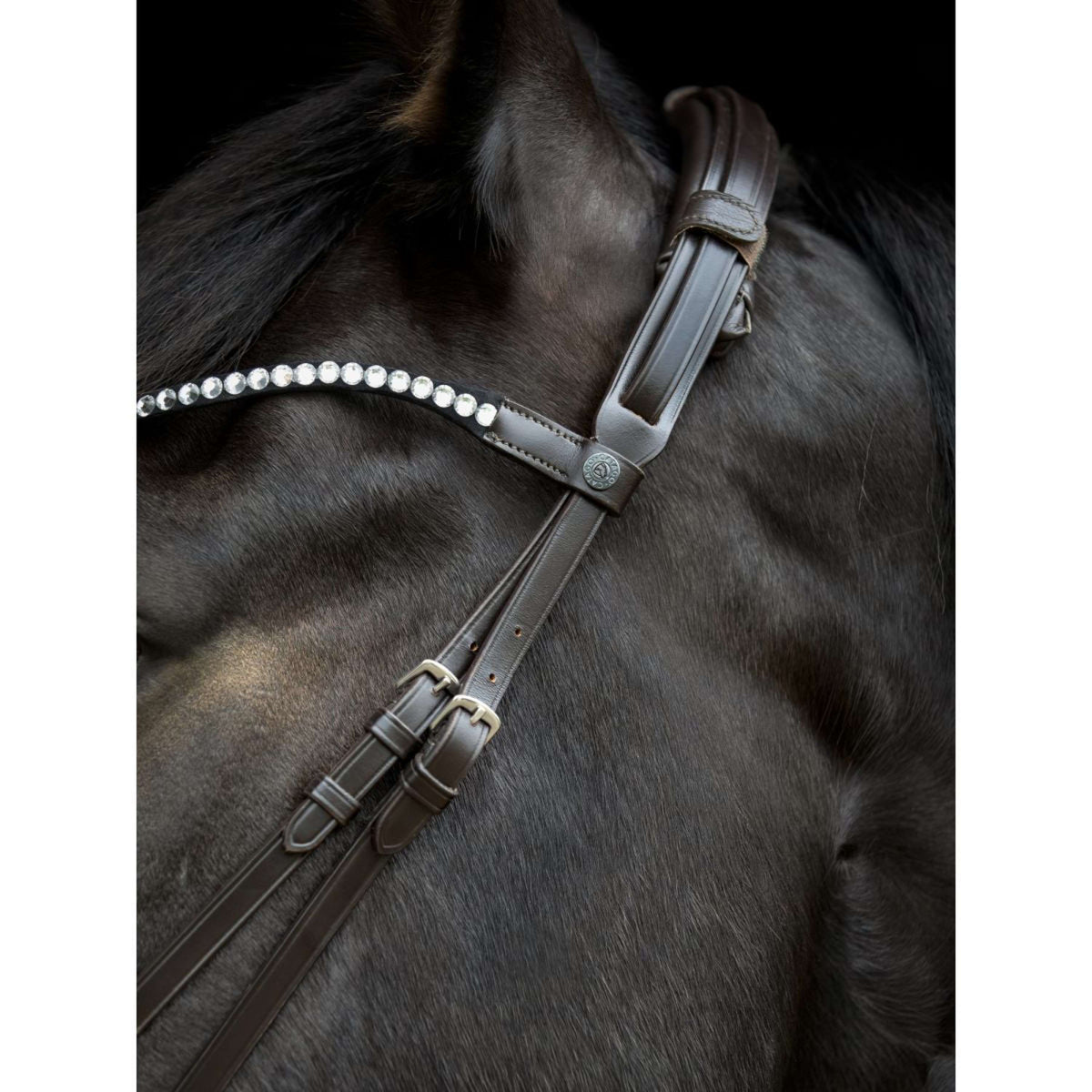 Catago Kopfstück Gentle Braun