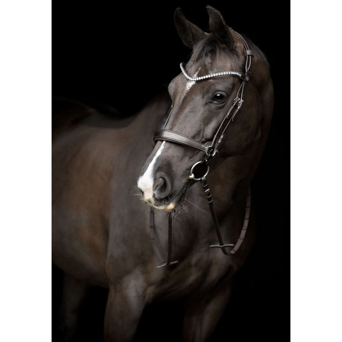 Catago Stirnriemen Gentle Braun