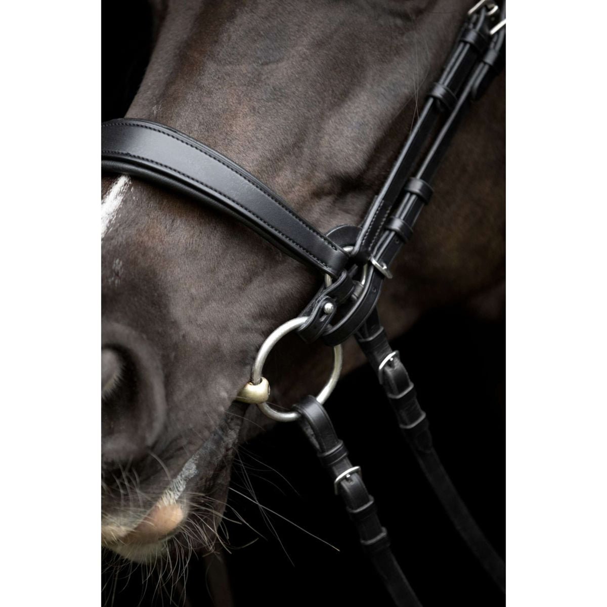 Catago Reithalfter Gentle Schwarz