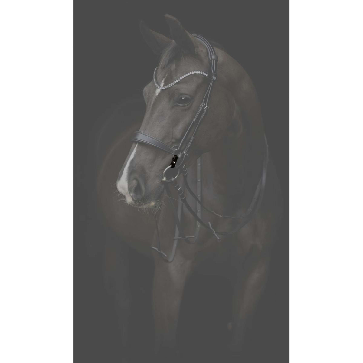 Catago Connecting Rings Gentle Braun