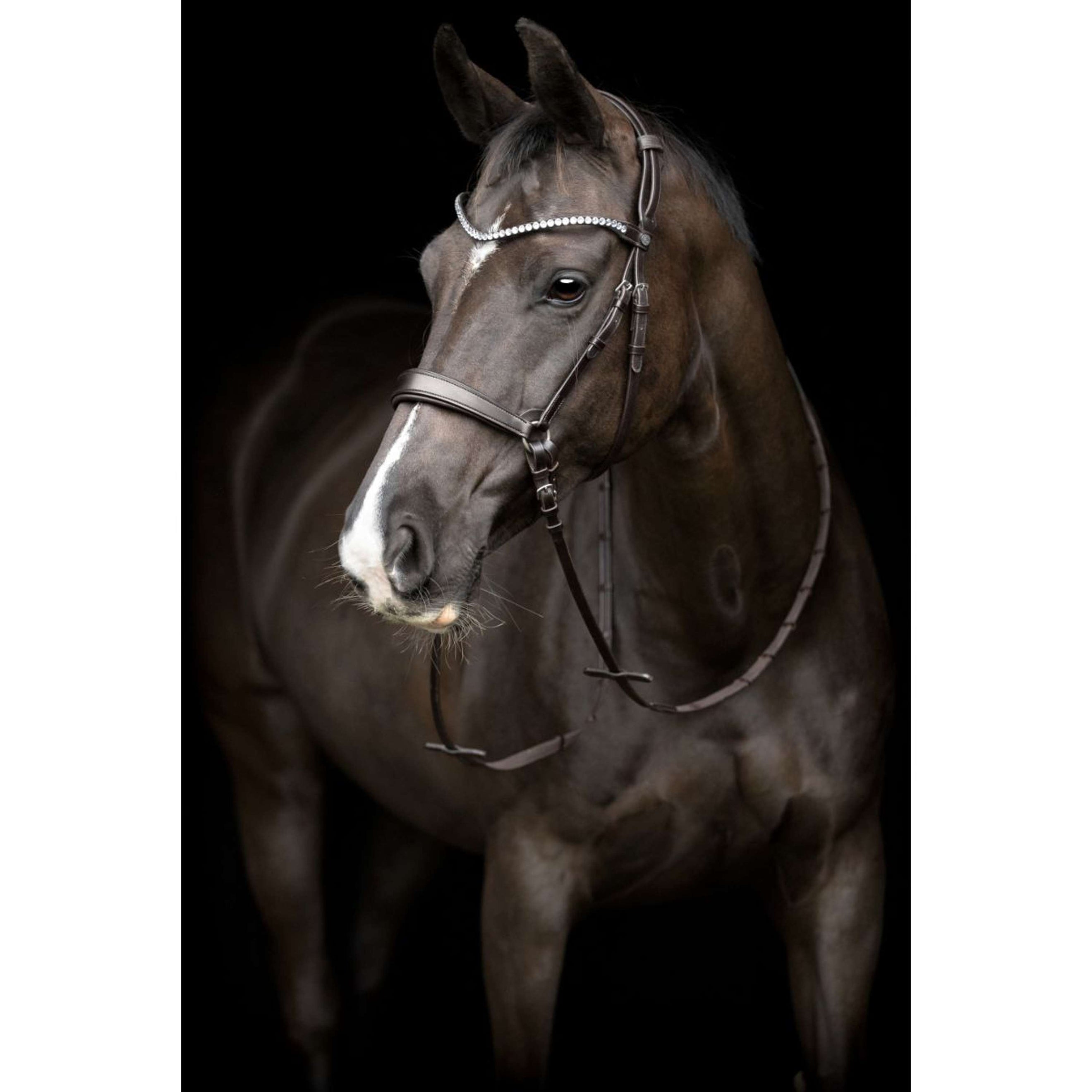 Catago Kehlriemen Gentle mit Schnallen Braun