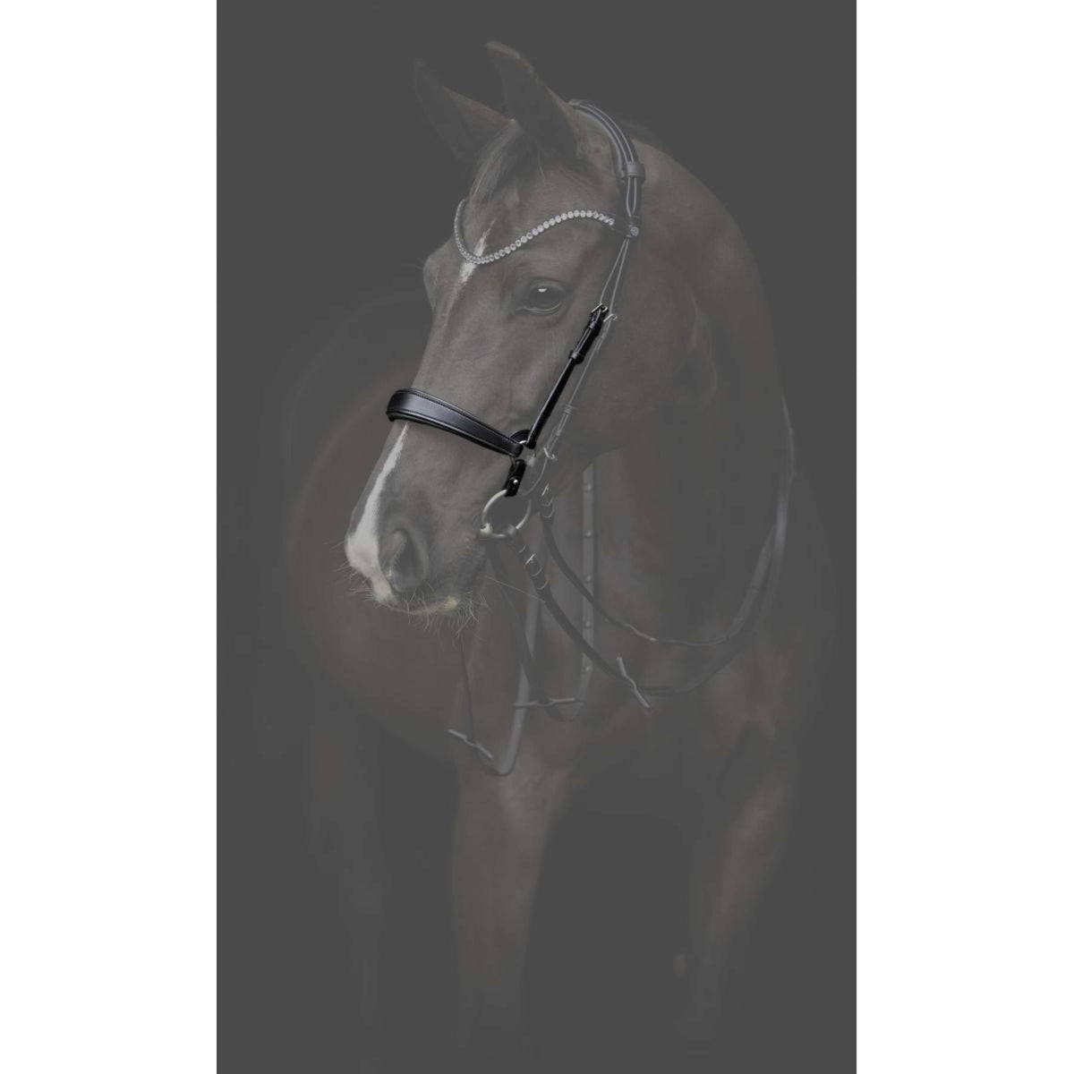 Catago Reithalfter Gentle Braun