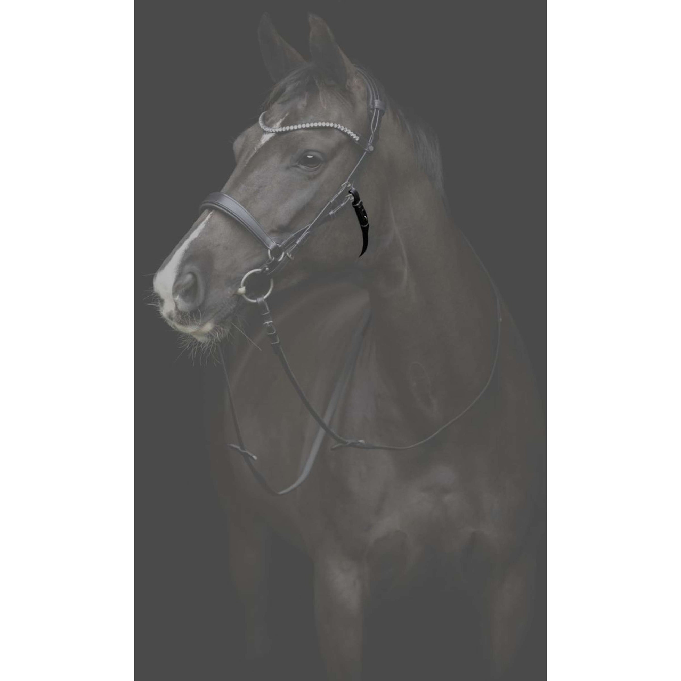 Catago Kehlriemen Gentle Schwarz Catago Kehlriemen Gentle Schwarz