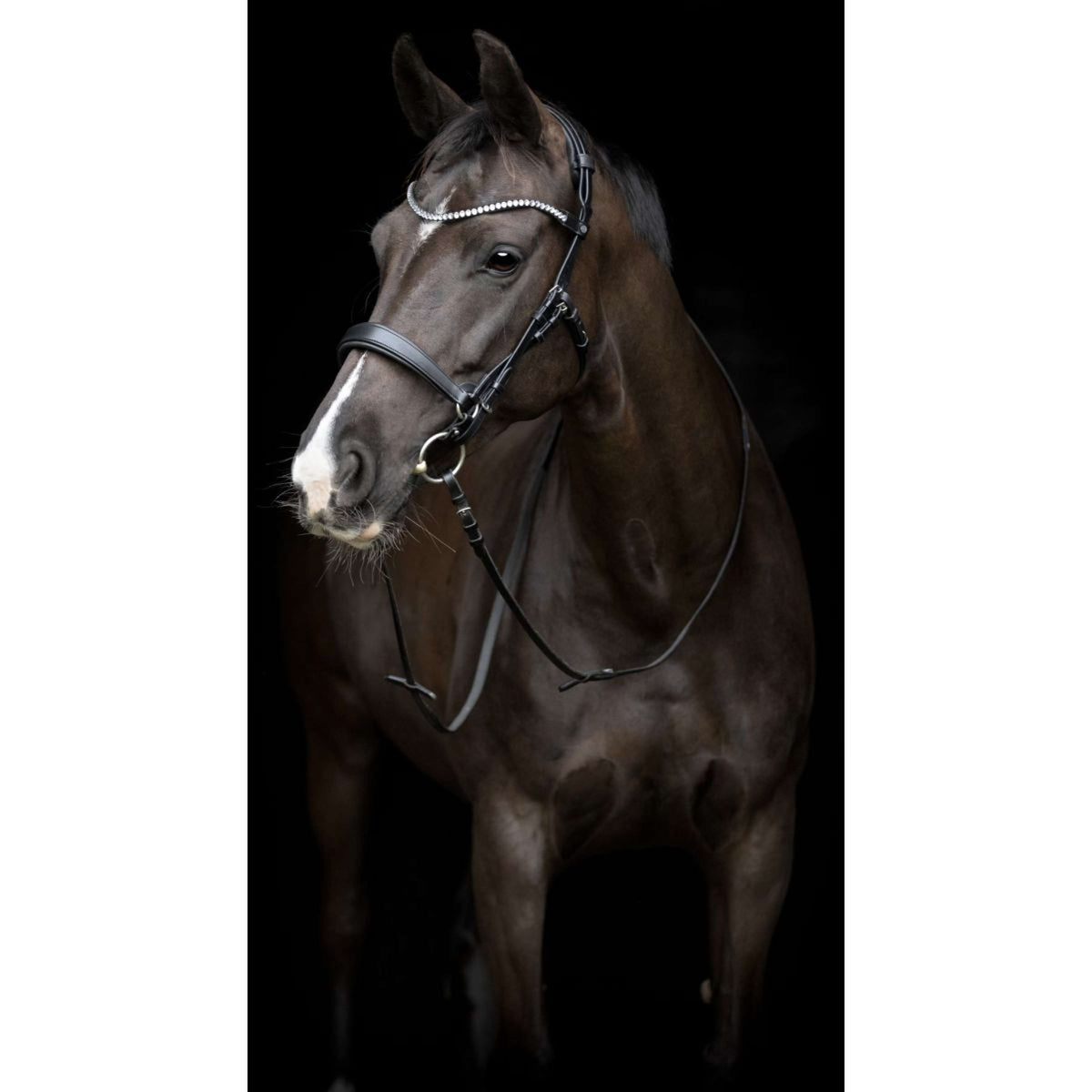 Catago Kehlriemen Gentle Schwarz