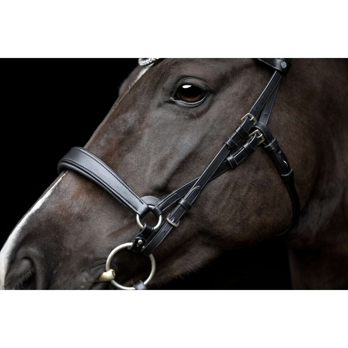 Catago Kehlriemen Gentle Schwarz