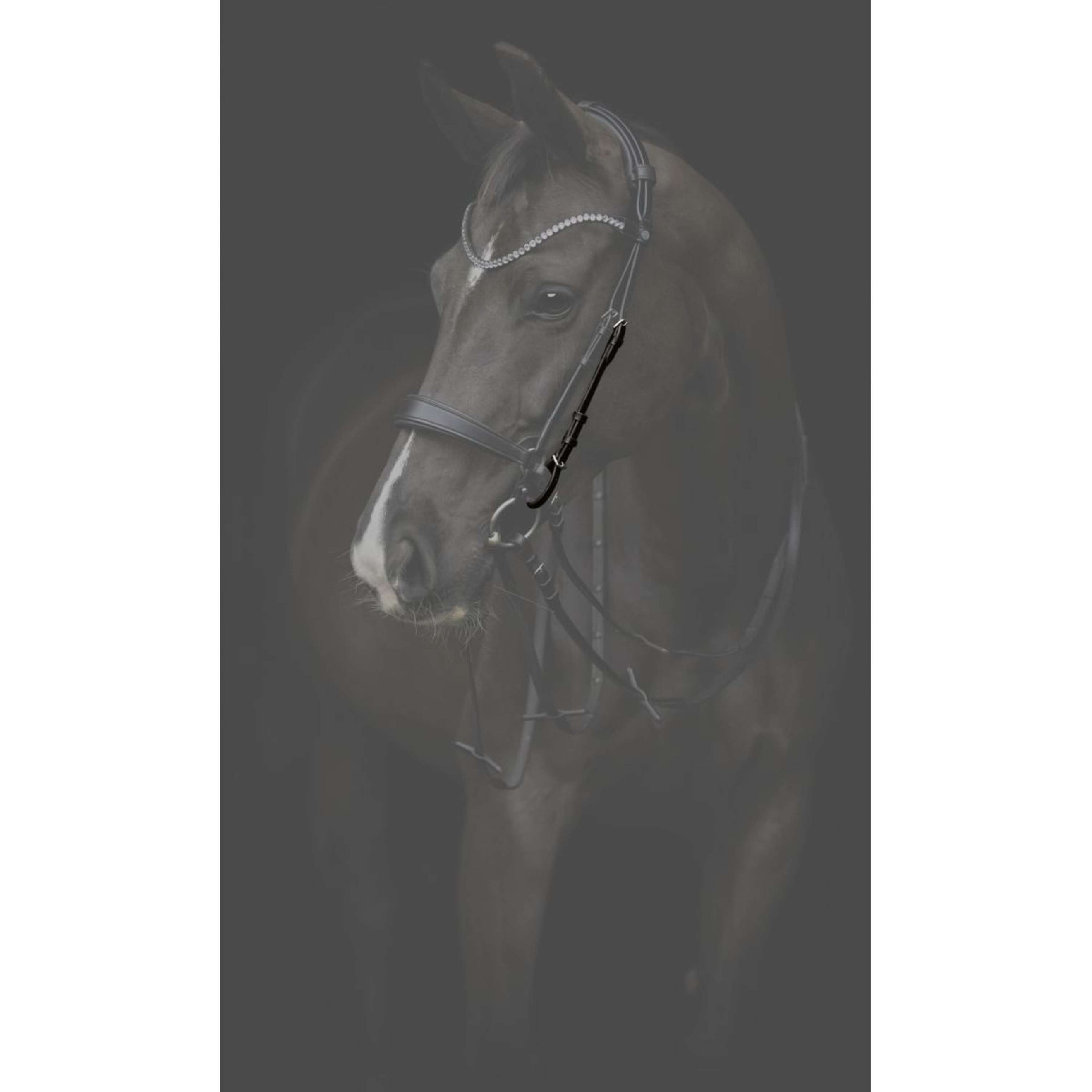 Catago Backenstücke Gentle Schwarz Catago Backenstücke Gentle Schwarz