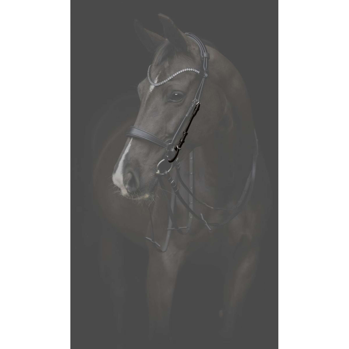 Catago Backenstücke Gentle Schwarz