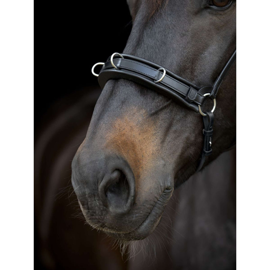 Catago Kinnriemen Gentle Schwarz